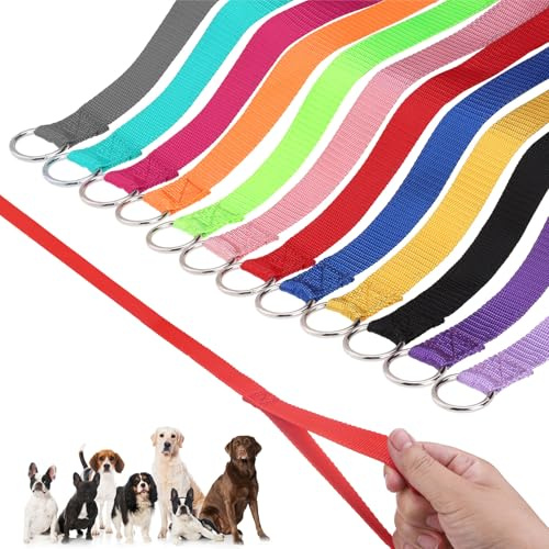 HOMIMP Slip Lead Dog Leash 6 FT- 48 PCS Bulk Colors Kennel Control Leashes for Small Medium Large Dogs Puppy Animal Rescue, Grooming - Heavy Duty Strong Nylon 6 Foot Long for Shelter, Vet, Training