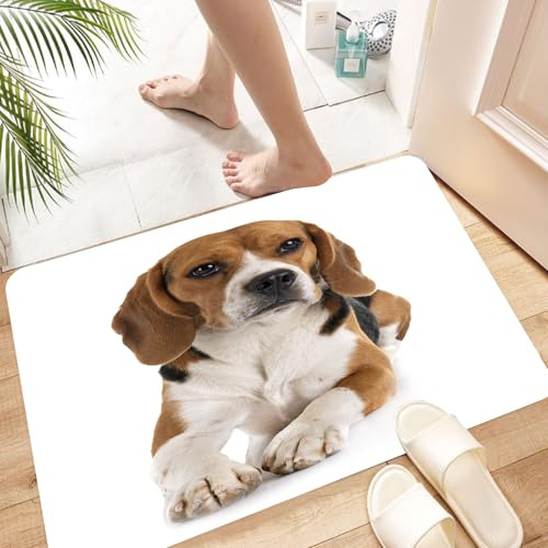 HYOSXW Alfombra de Baño Antideslizante 40x60 cm,Cachorro de Caza Beagle Joven y silencioso, Animal Aislado, Vida Silvestre, e,Microfibra Súper Absorbente y Suave, Alfombrilla Lavable y Ducha o Bañera