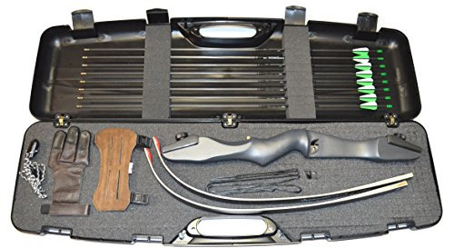 RAGIM Recurvebogen Matrix Evo mit Koffer und Carbonpfeilen - Einsteigerset mit viel Zubehör - Rechts- und Linkshandbogen