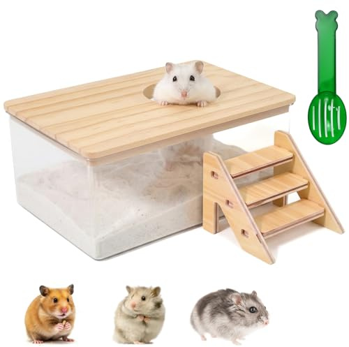 Hamster Sand Bath Transparent Hamster Bath Container with Ladder and Shovel