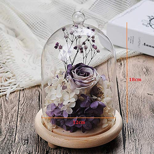 Warmiehomy Glass Bell Jar Dome with Wood Base Glass Domes for Display Suitable for Forever Flower Doll and Toys (Dia 12 x H 18cm)