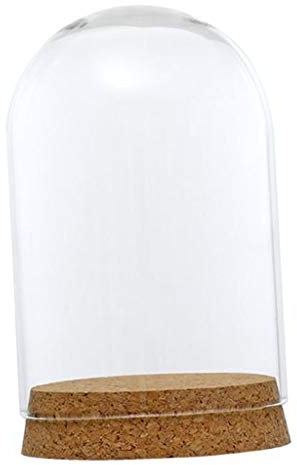 FITYLE Verre Clair Affichage Dôme Couverture Cloche Bell Pot Succulentes Terrariums avec Liège en Bois pour La Maison Bureau Table Decor DIY - comme décrit, 8x12cm