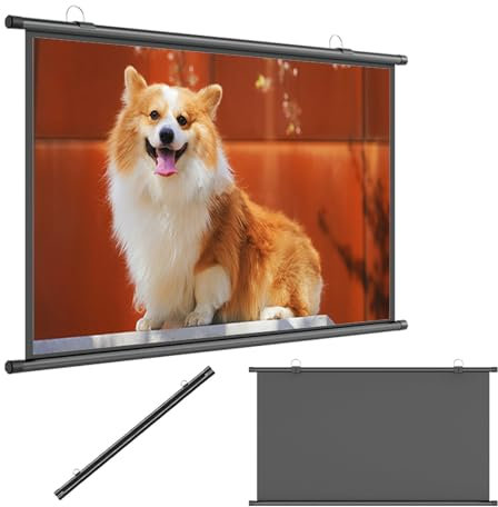 Hoiweqr Projector Screen, 60/70 Portable Movie Screen Indoor Outdoor 4:3/16:9 4K HD Projection Screen, Projector Screens Pull Down for Home Cinema, Meeting Presentation, Movie Night(16:9,72in)