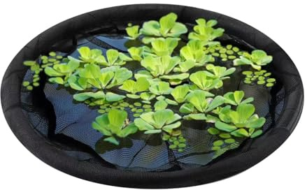 Schwimminsel Teich, 60/64/80cm Schwimmende Pflanzinsel – Pflanzenschutz Mit Feinmaschigem Netz, Wiederverwendbar. Perfekt Für Gartenteich, Fischteich, Wasserspiele. Schützt Wasserpflanzen, Fördert