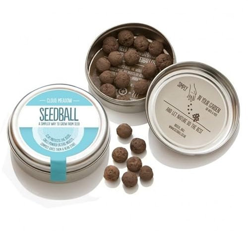 Cloud Meadow - mix di semi di fiori di campo Prato Nuvola, confezione in alluminio