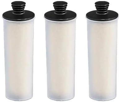 KAMNIK Descaling Filter Rod ，Compatible For Karcher SC 2U SC2UP SC3 SC3U SC3UP Upright Premium Series Steam Cleaner Parts Accessories Hepa Filter (Color : L+R)