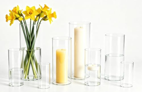 Glasvas set, set med 8, cylindrisk form, transparent, för rosor och tulpaner, modern bordsdekoration, blomvas för bröllop och vardagsrum (10, 15, 20, 25 cm, 8 st)
