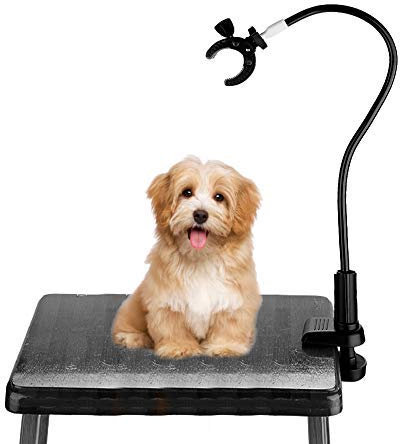 Haartrockner Halter 360 Grad drehbare Freisprecheinrichtung Haartrockner Stand Aluminiumlegierung Schwanenhals Haustier Hund Katze Fellpflege Tisch Haartrockner Clip Halter mit Klemmhalter