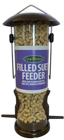 Oakdale Premium Suet & Seed Bird Feeder | Includes Premium Suet | Hanging Wild Bird Feeders for Garden | Easy Fill & Clean | Attracts Finches Sparrows & Tits | Bird Feeders Hanging Station UK