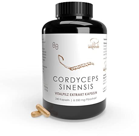 Pilze Wohlrab - Bio Cordyceps Kapseln hochdosiert - 350 mg Cordyceps sinensis Extrakt je Kapsel - Bio Acerola Vitamin C - 1 Dose à 240 Stück - Nahrungsergänzungsmittel