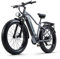 Ficyacto Elektrofahrrad 26 Zoll Pedelec E-Mountainbike E-Bike Herren Damen mit 48V 20AH Akku,Shimano 7 Gang,Doppelscheibenbremse (RX50)