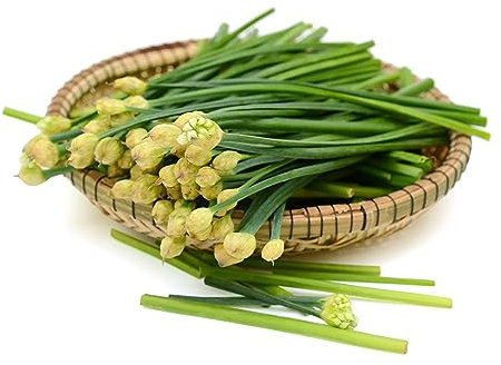 Prademir – BIO Schnittknoblauch Samen mehrjährig zur Anzucht von Pflanzen – 250x Schnittknoblauchsamen mit hoher Keimrate…