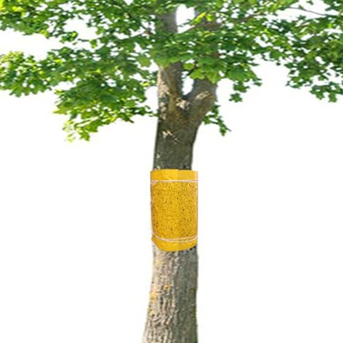 Panngu Anelli di colla autoadesivi, 15 metri, lavagne gialle per cingolati, per alberi da frutto, formiche, anello per albero di ciliegio, melo, prugna