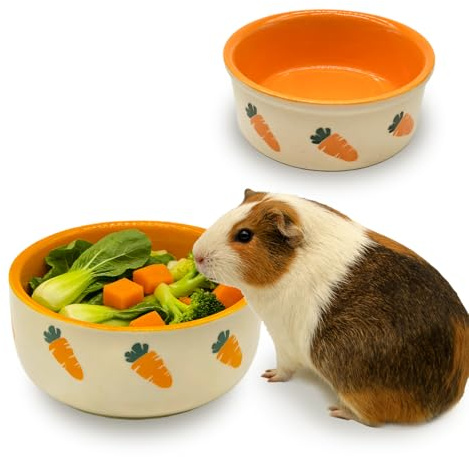 kathson 2 Pcs Hamtser Food Bowl, Guinea Pig Food Bowls, Ceramic Pet Bowl Small Animals Anti-Turning Water Bowls for Bunny Chinchilla Rat Hedgehog