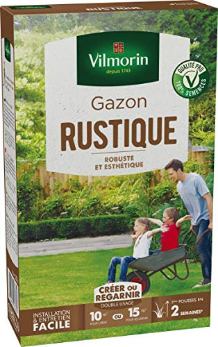 Vilmorin Gazon Rustique Boite 250 g, Vert