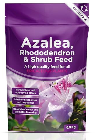 Azalea Rhododendron & Shrub Feed 0.9 Kg Ericaceous Fertiliser Ideal for Heathers & Acid-Loving Plants, Blueberries, Raspberries- Boosts Leaf Colour and Flowering