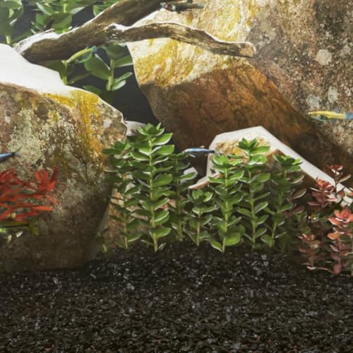 Ziaphsol Arena negra para acuarios, 25 kg, 0,2 – 2 mm, fondo de acuario, arena de cuarzo, grava natural, suelo para plantación para piscinas, Aquascaping, calidad del agua y instalación estable