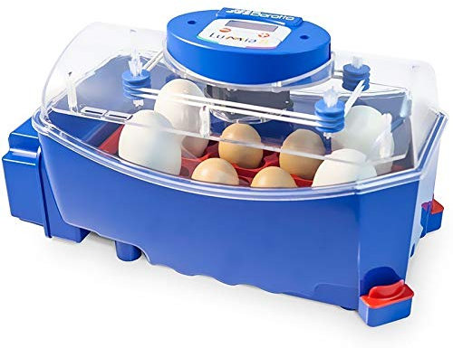 Suinga Automatische Brutmaschine für 8 Eier Ausgestattet mit automatischem Eierdreher. Geeignet für Bruteier von: Hühner, Fasan, Pfau, Wachtel, Verlust, Ente, Pfau, Pfau, Paloma.