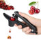 Togli Nocciolo Ciliegie, Snocciolatore Ciliegie, Snocciola Ciliegie con Gambo in Acciaio Inox e Coppa con Supporto in Silicone, Rimuovi Facilmente i Noccioli per Fare la Marmellata di Ciliegie
