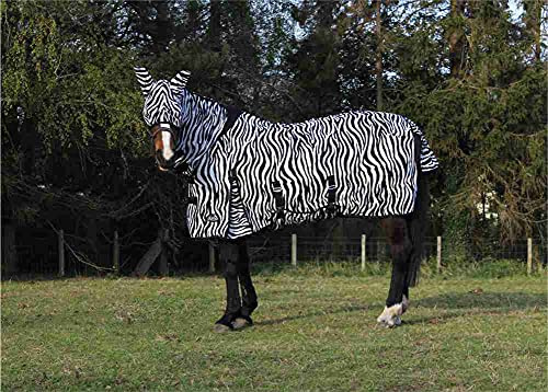 Jump Equestrian Horse Fly Rug Zebra Print Full Neck All in One with Belly and Tail Flap Elastic Neck with Free Fly Mask (5'6)