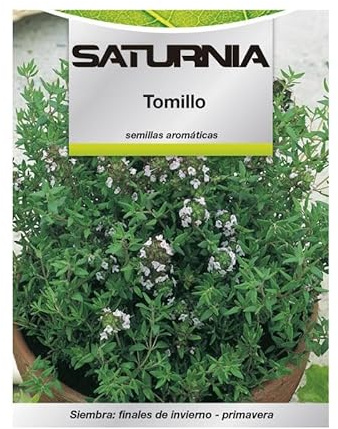 Semillas aromaticas tomillo (1 gramo) horticultura, horticola, semillas huerto.