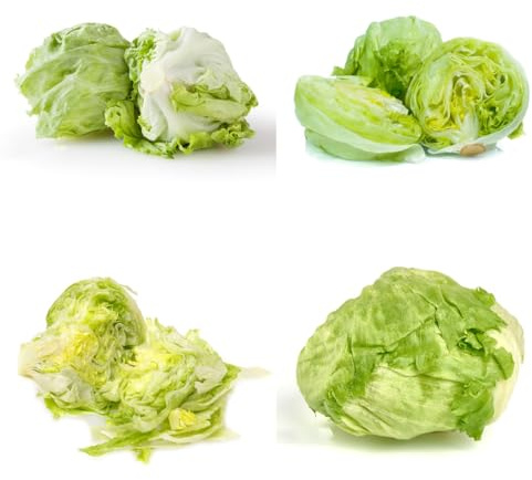 semillas de lechuga iceberg, jardín perennes resistentes de lechug, para bancales elevados de tradicionales 100pcs