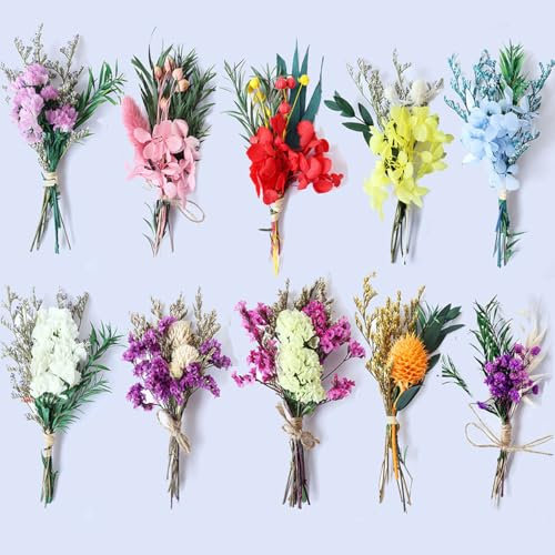 10 Bündel Trockenblumenstrauß Klein DIY Trockenblumen Mini Getrocknete Blumenstrauß Natürliche Getrocknete Blumen Trockenblumen zum Basteln für Kunst Handwerk Bilderrahmen Tägliche Heimdekoration