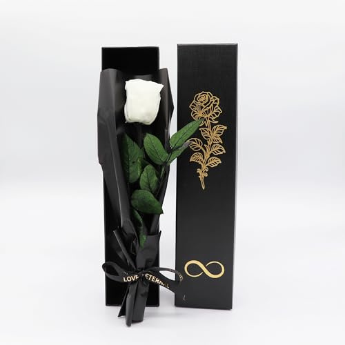 Pandiui23 Rosa Eterna preservada, rosa eterna, Rosa Natural Preservada, Flores Preservadas, Regalo San Valentín, regalo Dia de la Madre Regalo Mama, regalo Navidad, (Rosa Blanca)