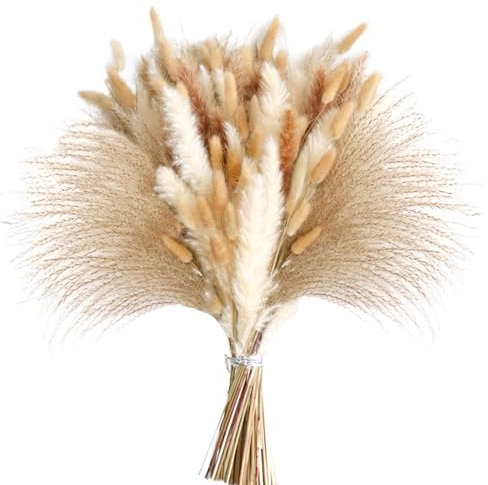 Pampasgras Deko, 49 Stück Pampasgras Klein Bunny Tails Trockenblumenstrauß Trockenblumen Beige Boho Deko für Hochzeiten, Wohnkultur, Rustikale Partys und Trocken Blumen Dekoration