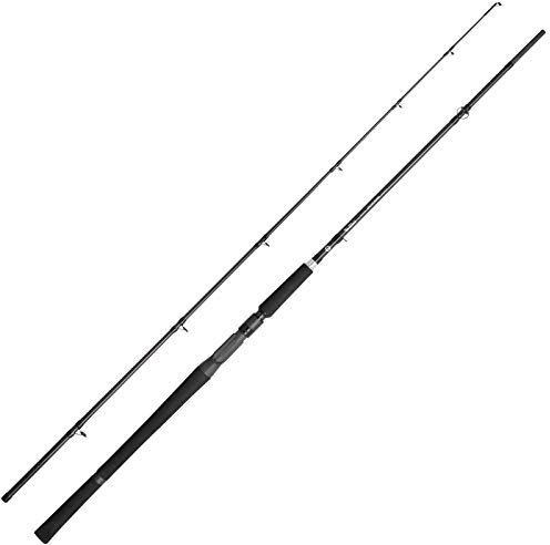 Spro Angelrute Baitcastrute - SP1 Pro Cast MH 210 2,10m 40-100g