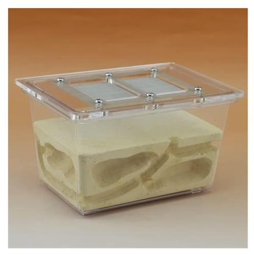 Ant Farm Ant House Ant Nest Ant Castle Research Ecosystem Ant Farm Small Tetrahedral Ant Farm 5.1x3.5x3.1 Inches Ant Nest Farm Ant Farm For Ants