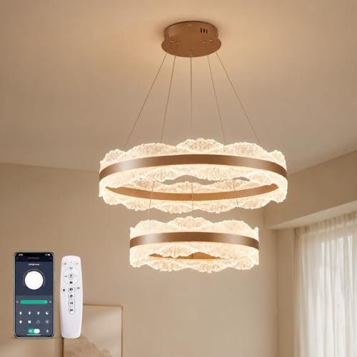 duowelly Lustre LED 2 Anneaux Acrylique, Suspension Salon avec Télécommande