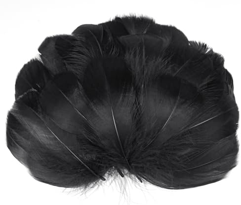 AOOTE 100pcs Feathers for Crafts Black, 6-12cm Black Feathers Bulk,Natural Goose Feather, Assorted Craft Feather, Decorative Set for DIY Dream Catcher, Gift Box Filling, Wedding, Party Decorations