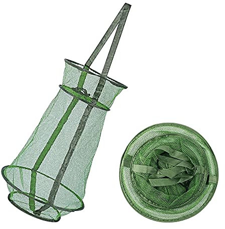 TANCUDER 2 Stück Setzkescher Fisch-Reuse Faltbare Köderfischreuse Gefaltet Fischernetz Fishing Köderfischreuse 55 * 33cm Reuse Fischernetz zum Fangen Aller Fischarten, Krebse, Flusskrebs (Grün)