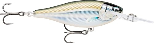 Rapala - Shad Rap Fishing Lure Balsa Konstruktion (Bleilos) - schwimmender Süßwasserköder - 3,3 m Schwimmtiefe - Größe 7,5 cm / 12 g - Made in Estland - vergoldete Minnow