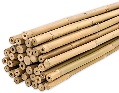 PLANTAWA - Tuteurs en Bambou 150 cm Lot de 25 Pièces Ø 12-14 mm | Tuteurs de Plantes pour Les Tomates et Les Plantes | Tuteur pour Plante de différentes Tailles - Cannes de Bambou Résistantes