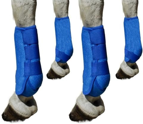 Fasce per le gambe del cavallo, stinchi per cavallo, protezione per le zampe anteriori e posteriori, fasce per la protezione delle gambe, protezione per i tendini delle gambe(Blue four,S)