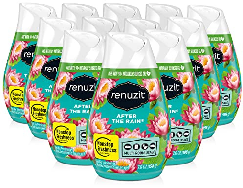 Renuzit Adjustable Gel Air Freshener Cone, After the Rain Scent, Nonstop Freshness, 7oz Cone, 12 Count, brand is Renuzit.