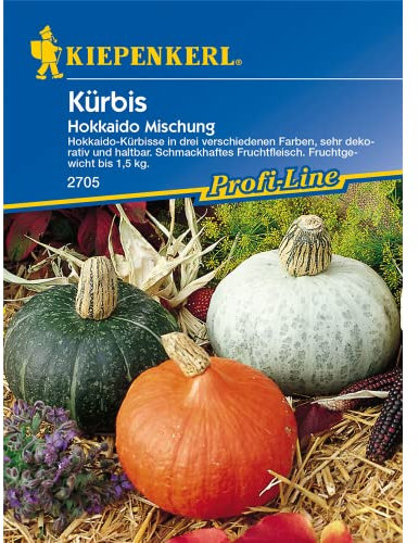 Kürbis Hokkaido Mischung, schmackhafte Kürbisse in drei verschiedenen Farben, sehr dekorativ und haltbar