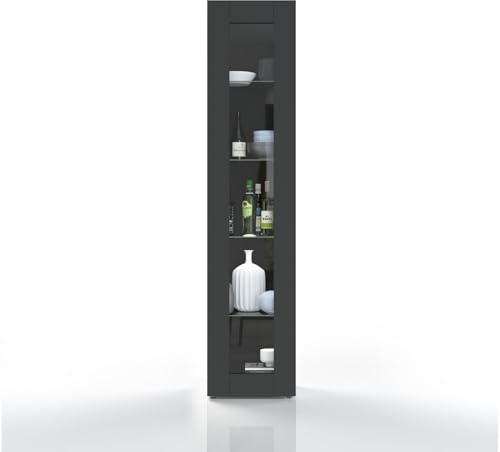 WHOUS Vetrina MARUSKA con 1 Anta per Soggiorno, Mobile Espositivo a Colonna con 4 Ripiani in Vetro, 40x30x180 cm, Antracite Opaco