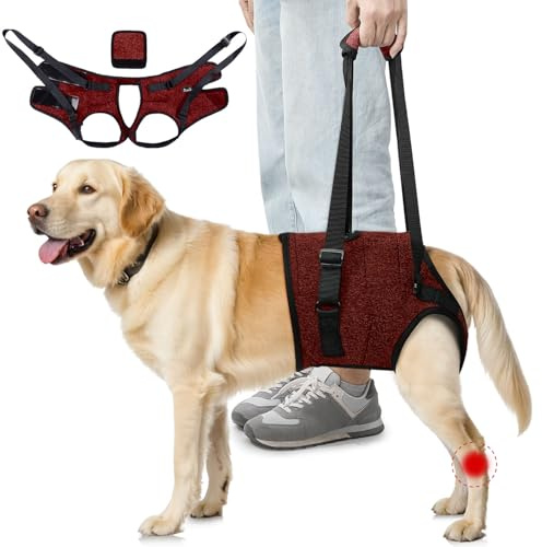 SlowTon Imbracatura di supporto per zampe posteriori Imbracatura per cani di taglia media - Comoda imbracatura di sollevamento per cani regolabile per anziani feriti Artritici disabili (Rosso, L)