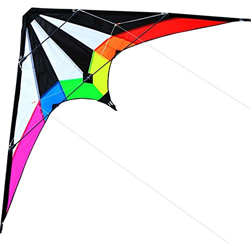 HENGDA KITE-Lightning 48 Inch Dual Line Stunt Kite for Kids and Adults, Outdoor Sports,Beach and Fun Sport Kite,Handle,Line,and Bag Included