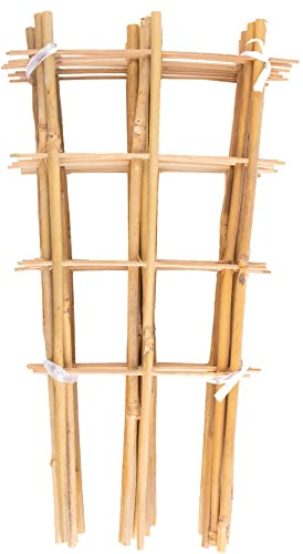 Avalution 10 Pack Bamboo Trellis for Climbing Plants 16 Natural Garden Ladder Trellis, Fan -Shaped Plant Support Trellis for Potted Plant Decor