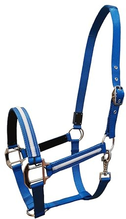 Reinecke Equestrian Dreamlight Headcollar Light Holder Safety Halter Stable Halter LED Nylon Headcollar (Cob/VB, Blue)