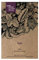Kiwi (Actinidia chinensis) - ca. 100 Samen