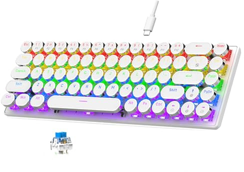 Annadue RGB Gaming Keyboard, 68 Keys Wired Mechanical Tangentboard Vintage Skrivmaskin Tangentbord med Runda Tangentkapt för skrivbords- och Bärbara Datorer, Blue Switch (Vit)