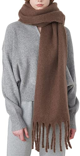 SUNDSGT Big Scarf Coloured Oversized Tassel Soft Fall Winter Thick Scarf Warm Shawl Women (Brown)