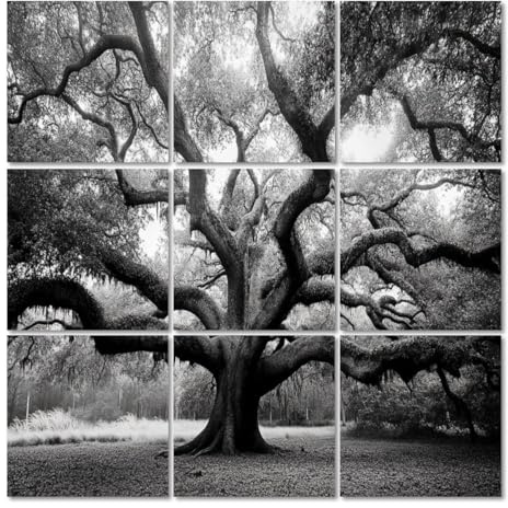 Art Acoustic Panels Self Adhesive tree pictures royalty photos 9 Packs Decorative Soundproof Wall Panels Large Sound Absorbing Panels for Home Office 60x60
