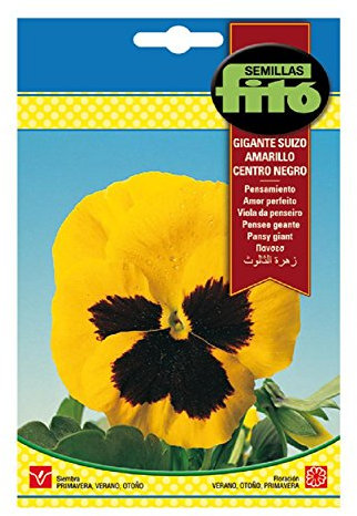Semillas Fitó 641 - Semillas de Pensamiento Gigante Suizo Amarillo Centro Negro