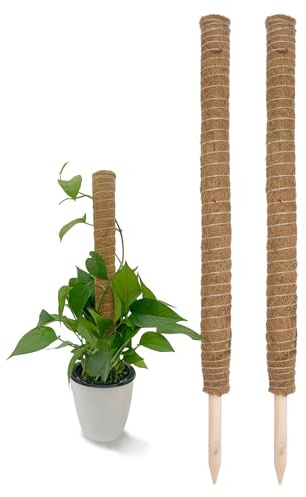 Kokos spaljé 80 cm natur – 2 stycken – växtstav för inomhusväxter – blommor, växtstång, kruka, klättringshjälp, kokosstång för klätterväxter